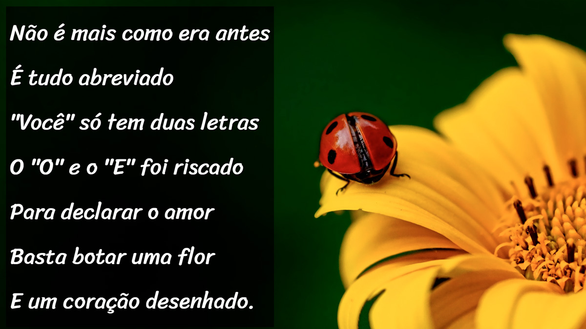 Screenshot of project